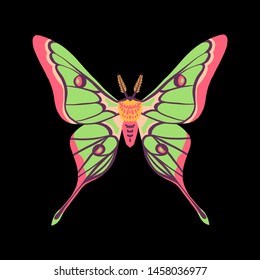 Beautiful butterfly. Night moth. Illustration of an insect. Isolated on black background. Great for greeting cards, invitations, print on fabric and more.
