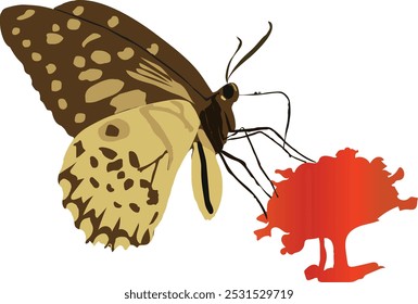 Beautiful Butterfly  On A Flower Illustration free download