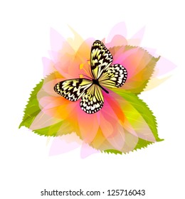 Beautiful butterfly on a flower. vector