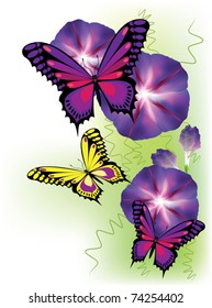 Beautiful butterfly on light background. Colorful butterfly