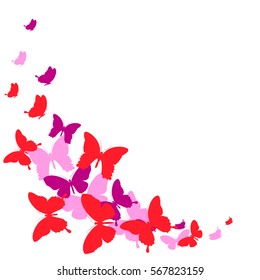 beautiful butterfly, on a white