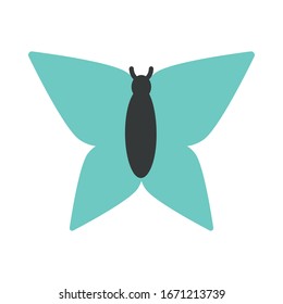 beautiful butterfly on white background vector illustration design