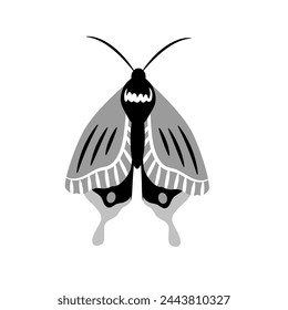 Beautiful butterfly on white background. Vector black and white illustration for the design of packaging, cards, patterns.