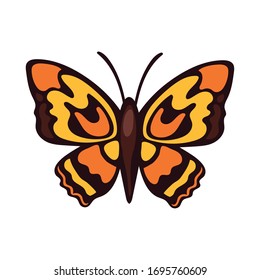 bello insecto naranja de mariposa estilo plano icono ilustración vectorial