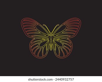 Beautiful butterfly outline colorful isolated over black background illustration.