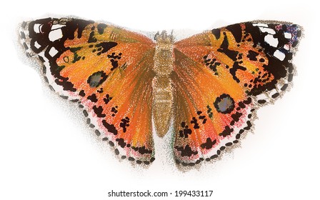 Beautiful butterfly picture vector