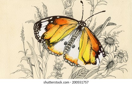 Beautiful butterfly picture vector