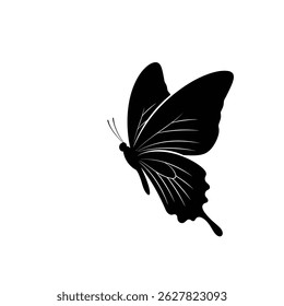 Beautiful Butterfly Profile Silhouette Showcasing Open Wings