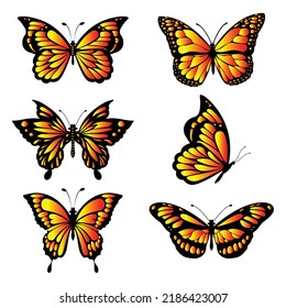beautiful butterfly set isolated on white background.