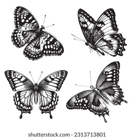 Beautiful butterfly set sketch hand drawn in doodle style illustration