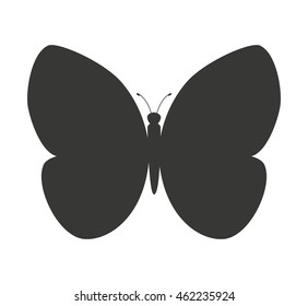 beautiful butterfly silhoeutte icon vector isolated graphic
