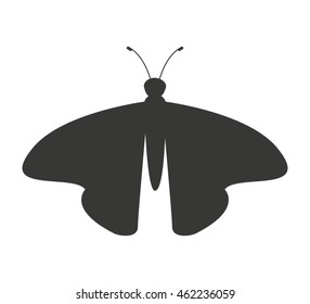 beautiful butterfly silhoeutte icon vector isolated graphic