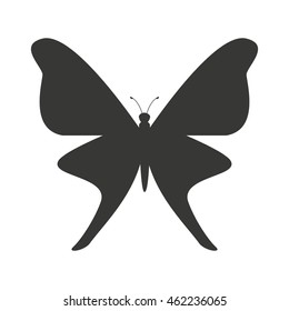 beautiful butterfly silhoeutte icon vector isolated graphic