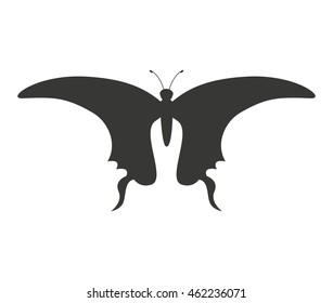 beautiful butterfly silhoeutte icon vector isolated graphic