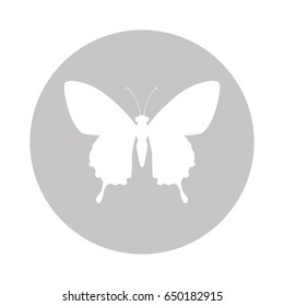 Beautiful butterfly silhouette