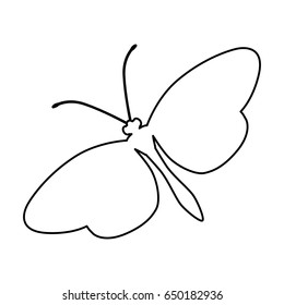 Beautiful butterfly silhouette