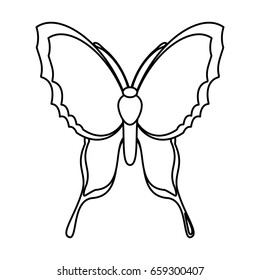 Beautiful Butterfly silhouette