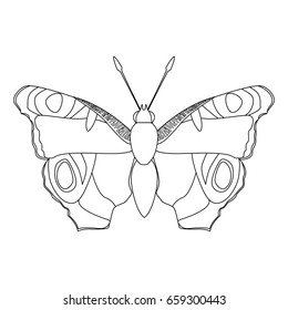 Beautiful Butterfly silhouette