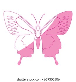 Beautiful Butterfly silhouette