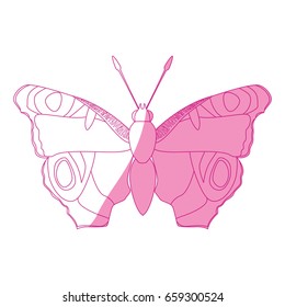 Beautiful Butterfly silhouette