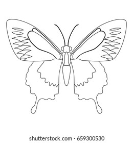 Beautiful Butterfly silhouette