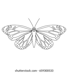 Beautiful Butterfly silhouette
