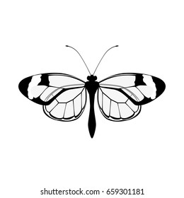 Beautiful Butterfly silhouette