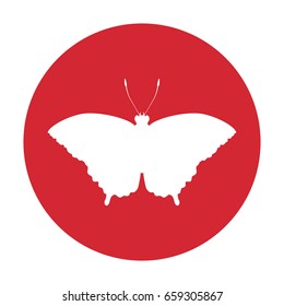 Beautiful Butterfly silhouette