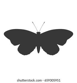 Beautiful Butterfly silhouette