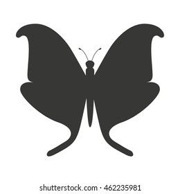 beautiful butterfly silhouette icon vector isolated graphic