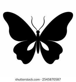 A beautiful butterfly silhouette on white background