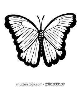 Beautiful butterfly sketch. Hand drawn line art illustration.