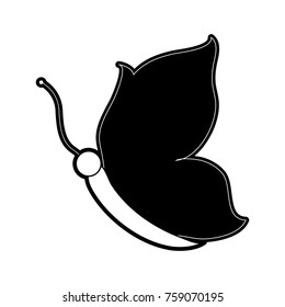 Beautiful butterfly symbol
