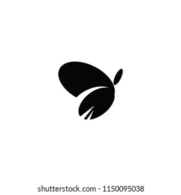 beautiful butterfly vector