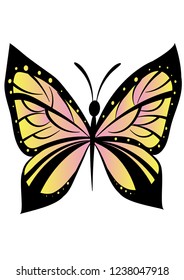 beautiful butterfly vector