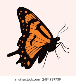 A beautiful Butterfly vector art illustration