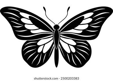 A beautiful butterfly vector art in white background illustration.