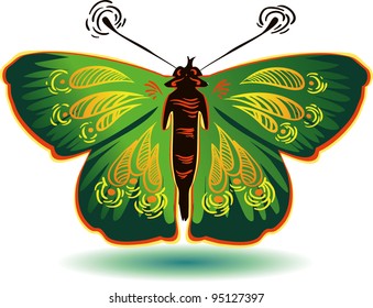beautiful butterfly vector for design