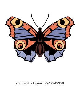 Beautiful butterfly. Vector hand drawn illustration. Graphic element for posters, print, fashion design, wrapping paper