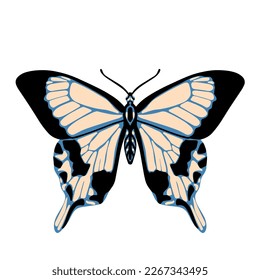 Beautiful butterfly. Vector hand drawn illustration. Graphic element for posters, print, fashion design, wrapping paper
