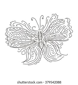 Beautiful butterfly vector illustration