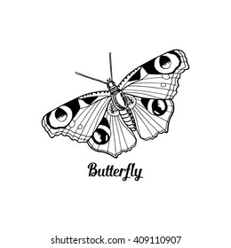 beautiful butterfly vector illustration