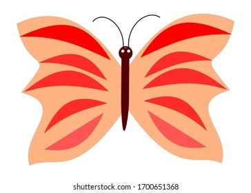 Beautiful Butterfly Vector on White Background