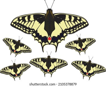 Hermoso vector mariposa para tu diseño de fondo