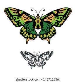 Beautiful Butterfly with white background. Vector illustration
