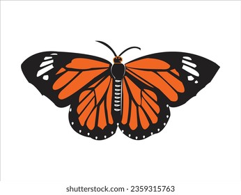 Beautiful butterfly winged isolated on white background.
