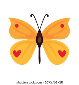 beautiful butterfly yellow insect flat style icon vector illustration design