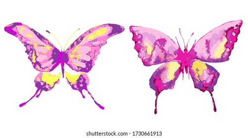 beautiful butterfly,watercolor, isolated on a white