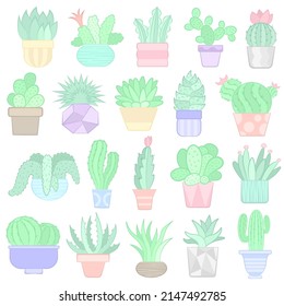 Beautiful cacti of different types in pots of different colors