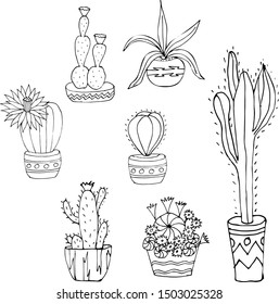 Beautiful cacti on an orange background. Drawn by hand. Set of flowers for textile, gift paper, scrapbooking.